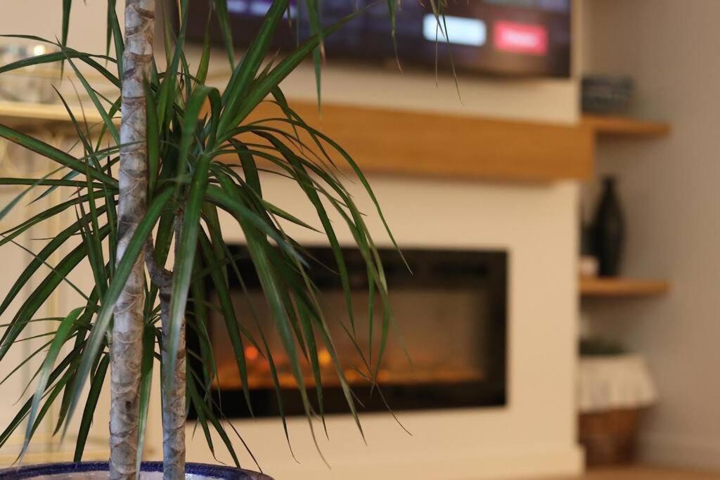 Lc Apartaments Voramar Benicàssim Esterno foto